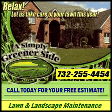 A Simply Greener Side